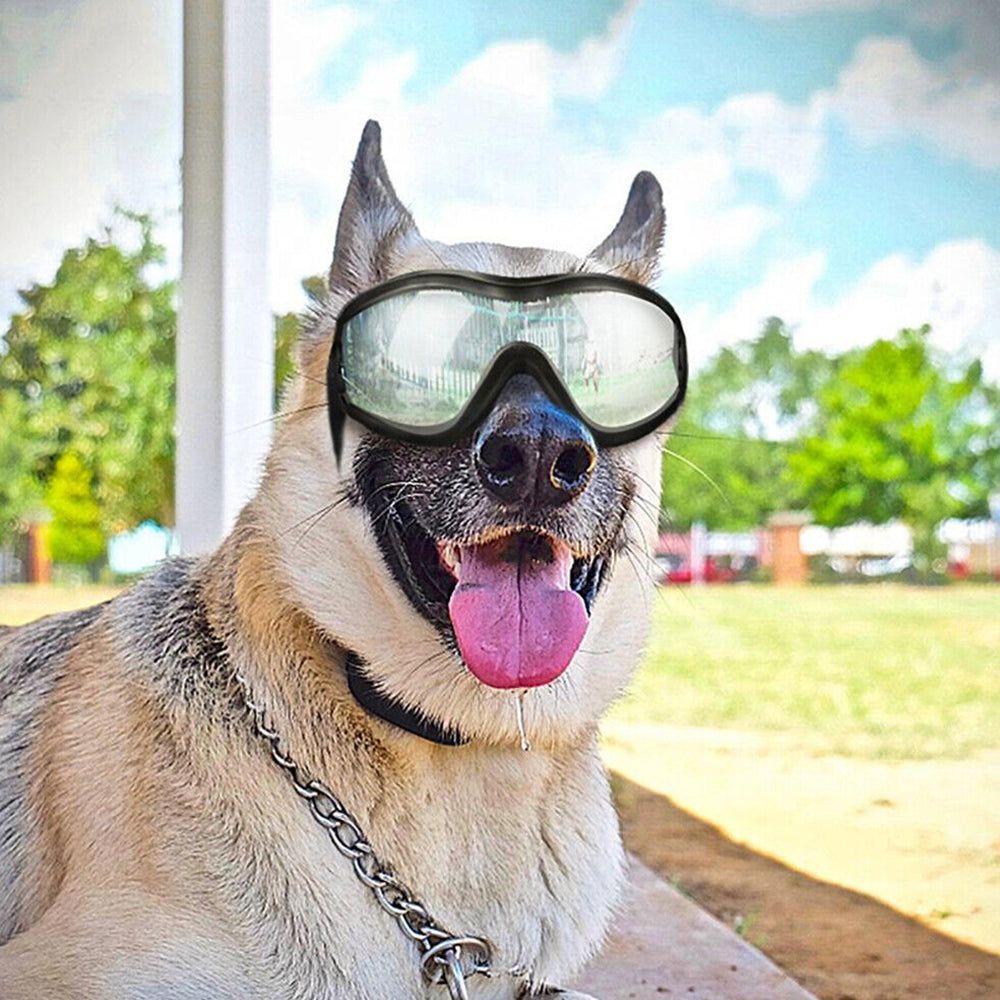 Fashion Pet Dog Goggles Sunglasses Sun Glasses Eye Wear Protection