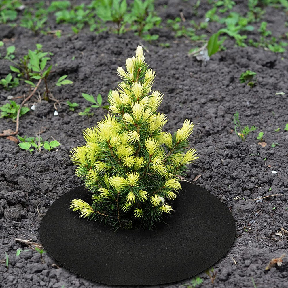 20pcs 27cm Non Woven Tree Mulch Ring for Weed Control Root Protection