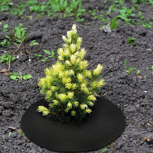 20pcs 15cm Non Woven Tree Mulch Ring for Weed Control Root Protection