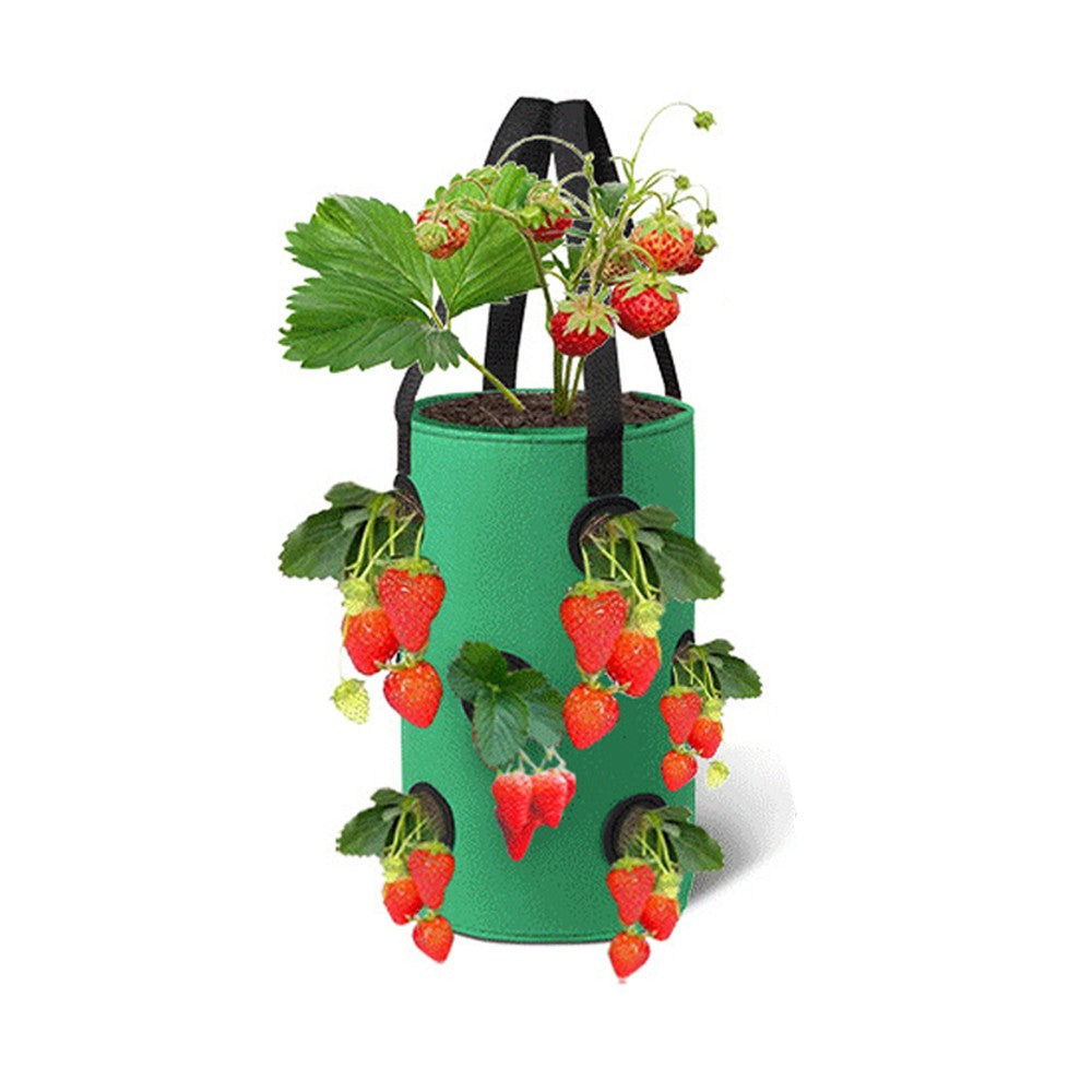 1Pc 3 Gallon Strawberry Grow Bag 12-Hole Vegetables Grow Hanging Bag - Green