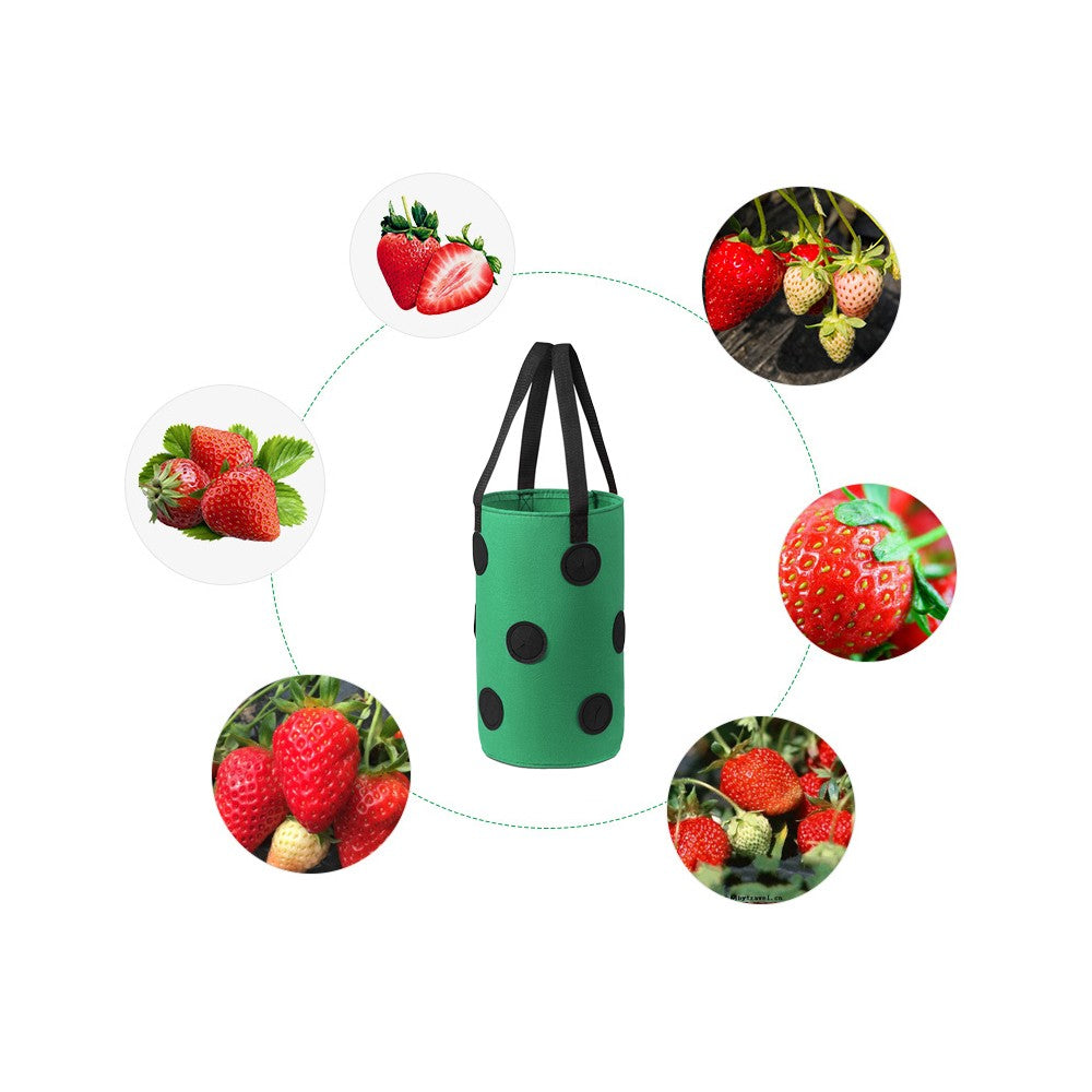1Pc 3 Gallon Strawberry Grow Bag 12-Hole Vegetables Grow Hanging Bag - Green