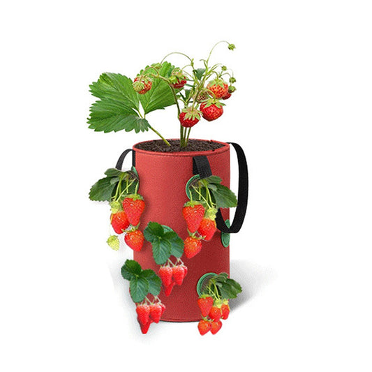 1Pc 3 Gallon Strawberry Grow Bag 12-Hole Vegetables Grow Hanging Bag - Red