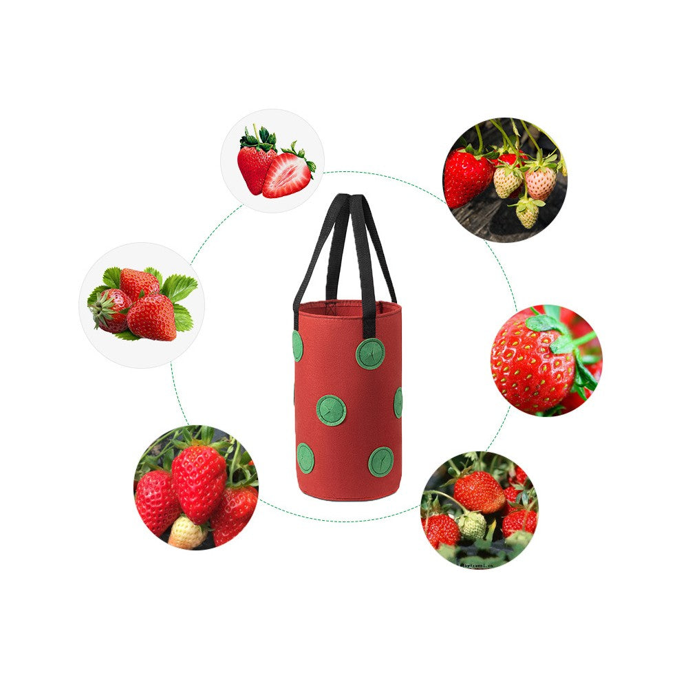 1Pc 3 Gallon Strawberry Grow Bag 12-Hole Vegetables Grow Hanging Bag - Red