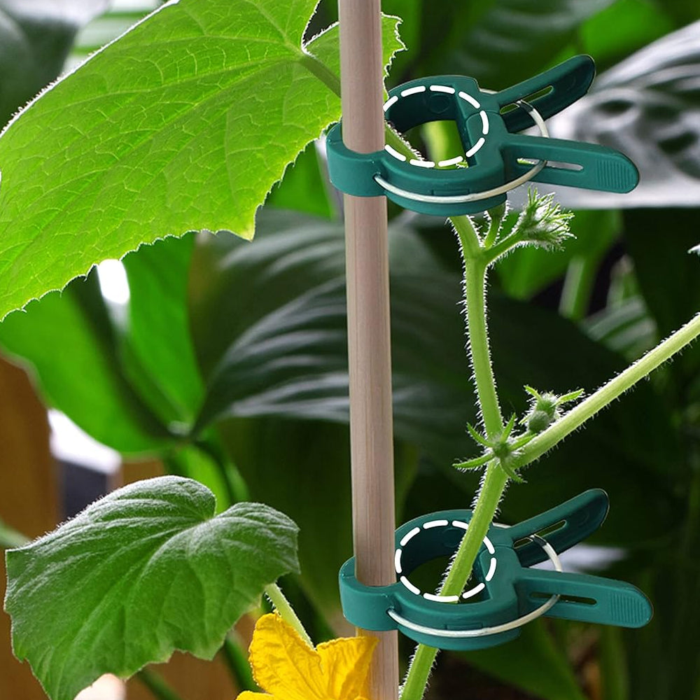40Pcs 4.5 x 3cm Plant Support Clips Garden Vine Clips for Climbing Plants