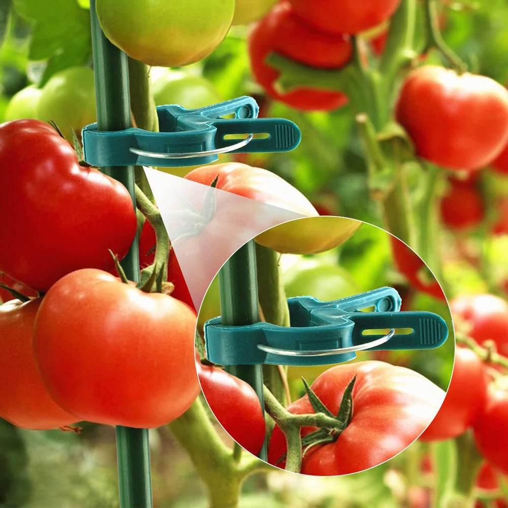 40Pcs 4.5 x 3cm Plant Support Clips Garden Vine Clips for Climbing Plants