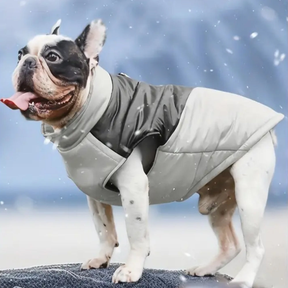 Winter Warm Puppy Dog Water-resistant Vest Jacket Reflective Padded Grey L