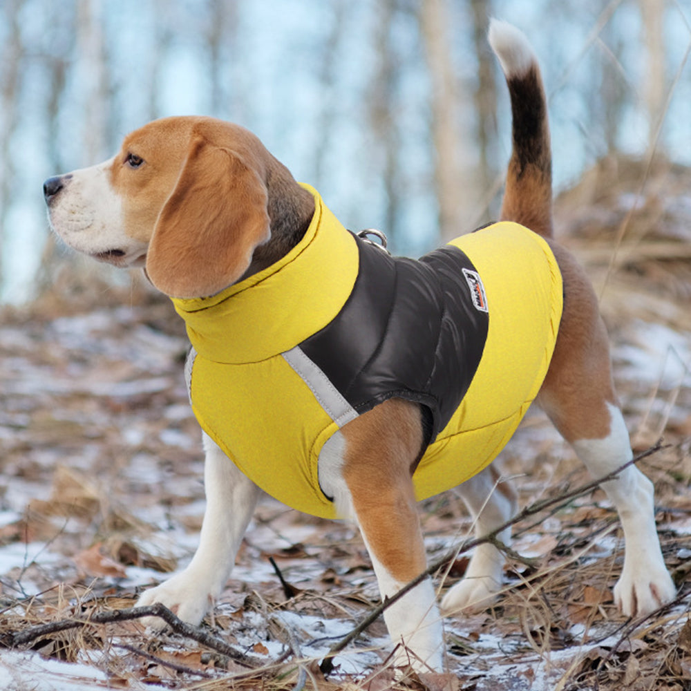 Winter Warm Puppy Dog Water-resistant Vest Jacket Reflective Padded Yellow 3XL