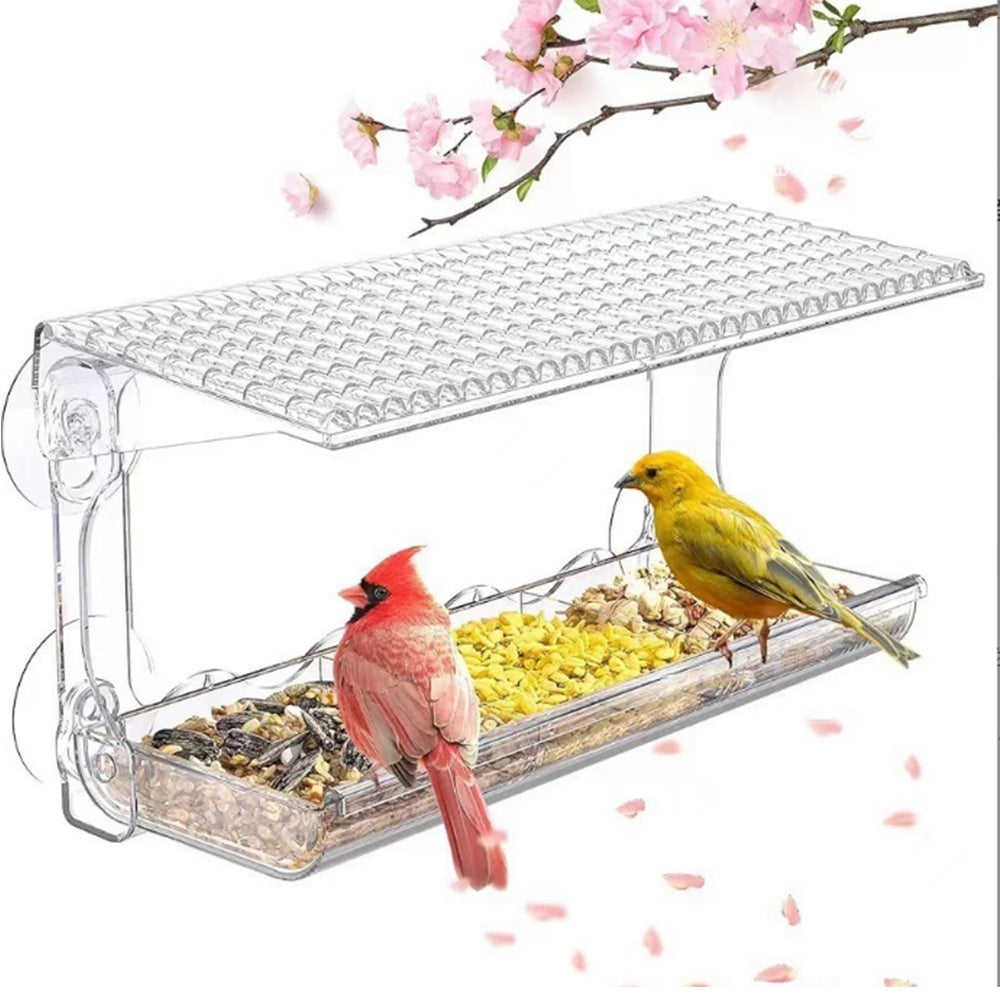Outdoors Window Clear Bird Feeder with Strong Suction Cups