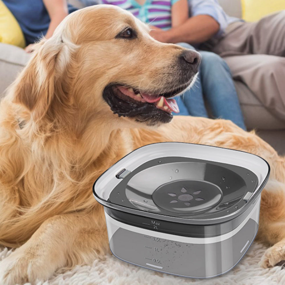 2L Pet Dog Cat Water Bowl No Spill Water Feeder Black
