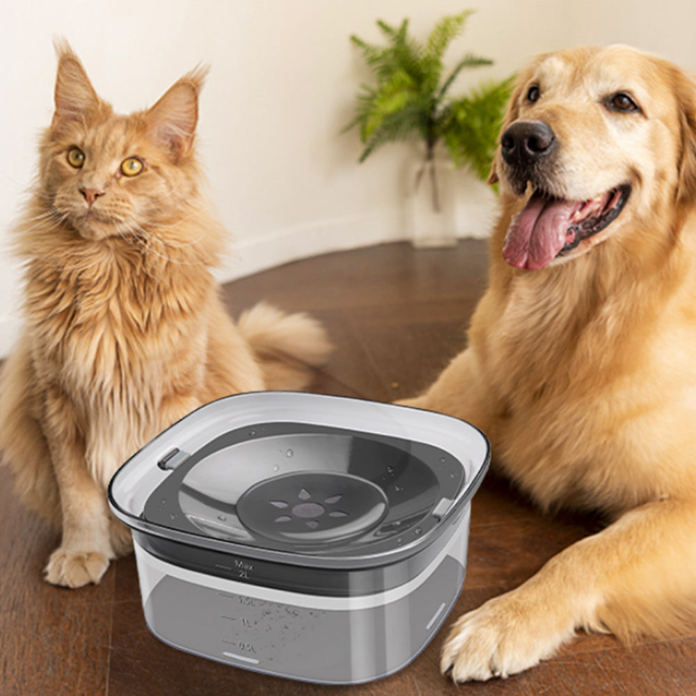 2L Pet Dog Cat Water Bowl No Spill Water Feeder Black