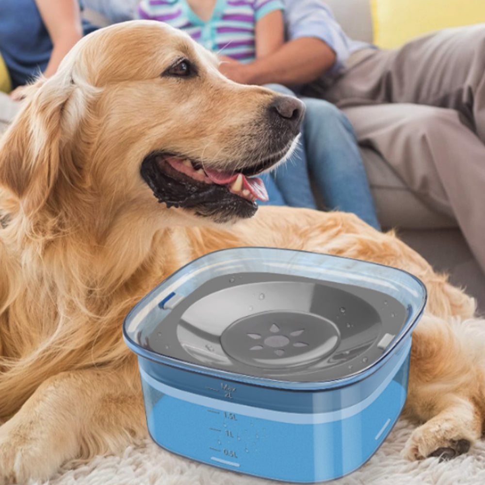 2L Pet Dog Cat Water Bowl No Spill Water Feeder Blue