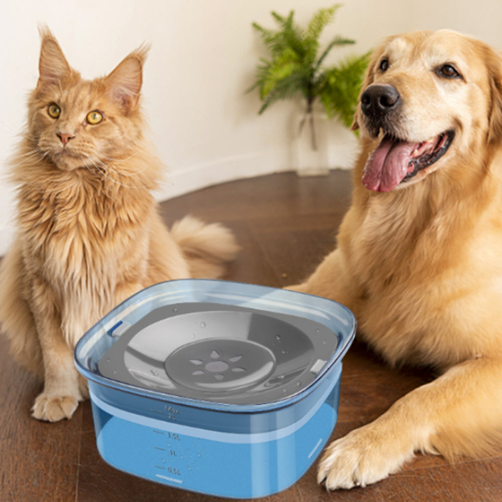 2L Pet Dog Cat Water Bowl No Spill Water Feeder Blue