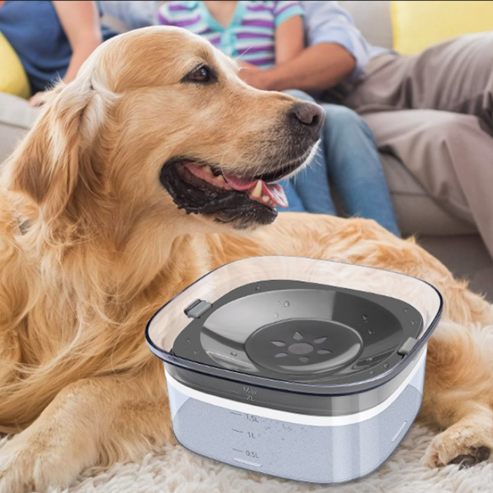 2L Pet Dog Cat Water Bowl No Spill Water Feeder Clear