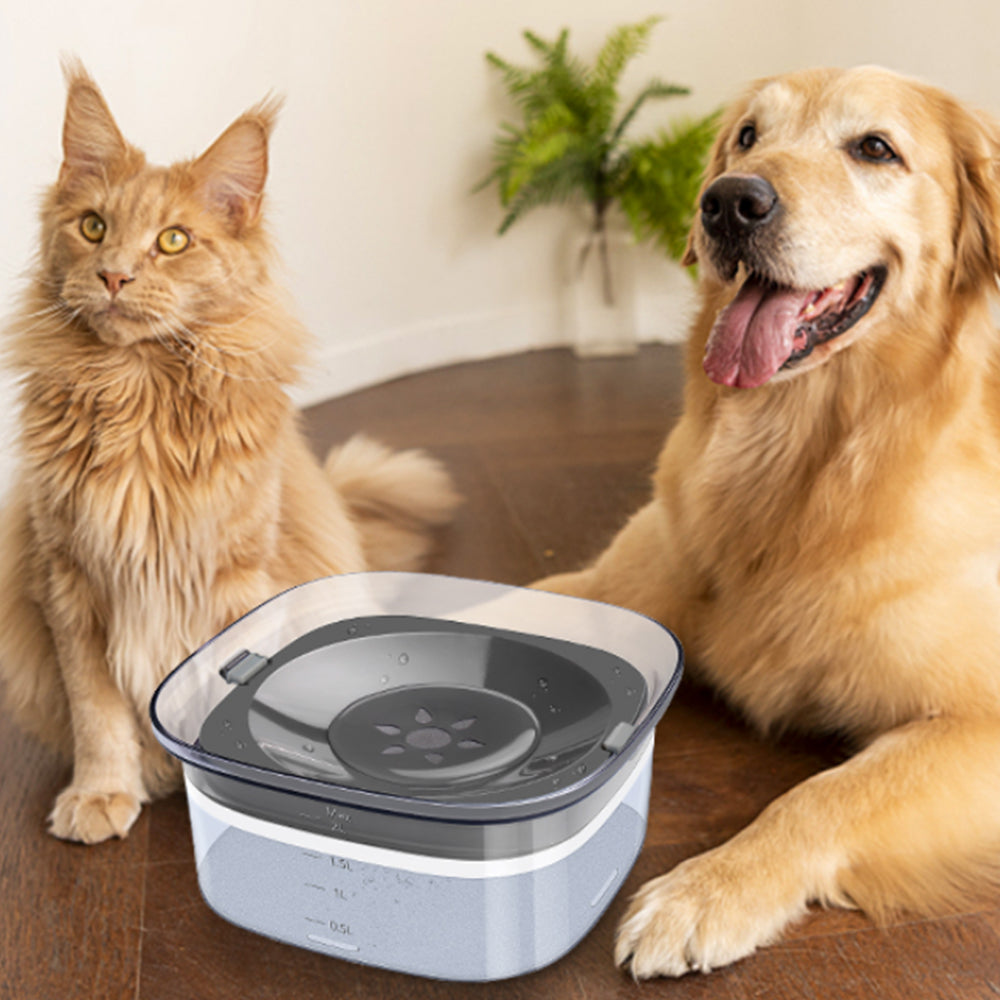 2L Pet Dog Cat Water Bowl No Spill Water Feeder Clear