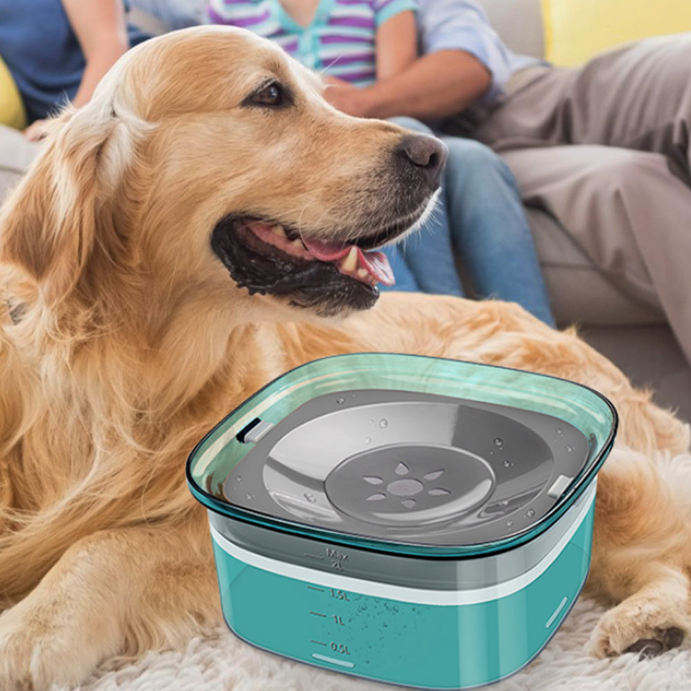 2L Pet Dog Cat Water Bowl No Spill Water Feeder Green