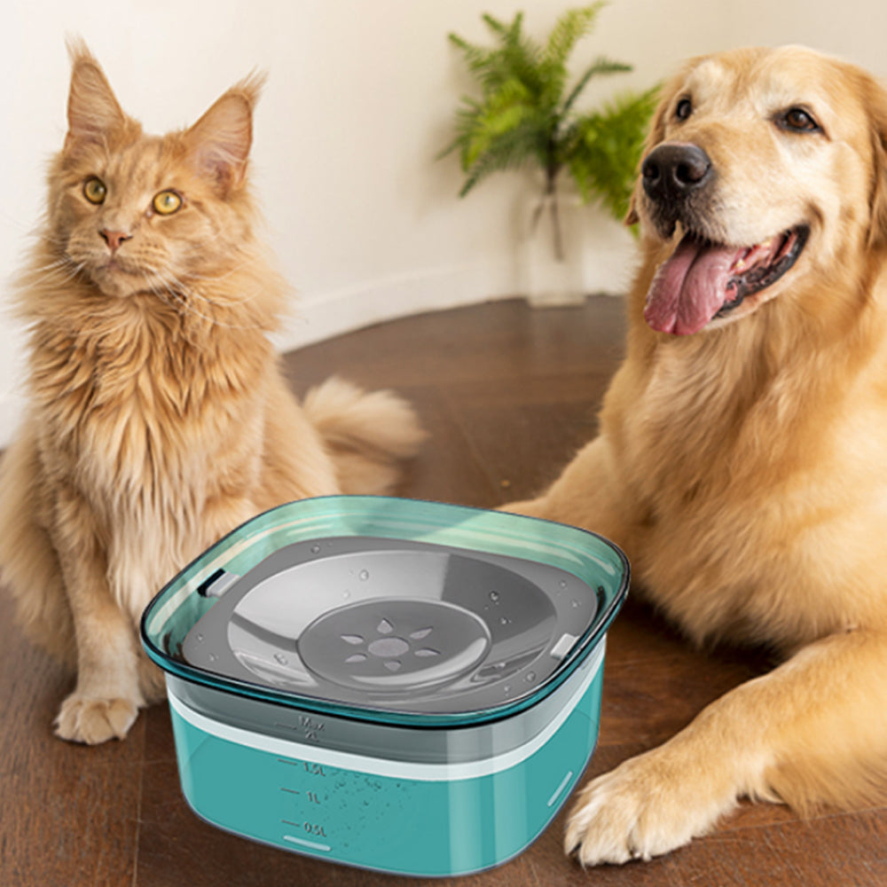 2L Pet Dog Cat Water Bowl No Spill Water Feeder Green