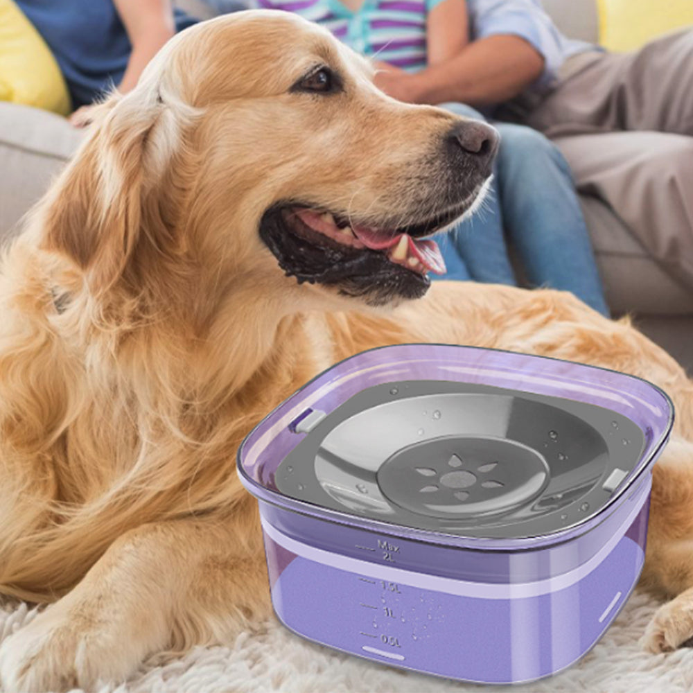 2L Pet Dog Cat Water Bowl No Spill Water Feeder Purple