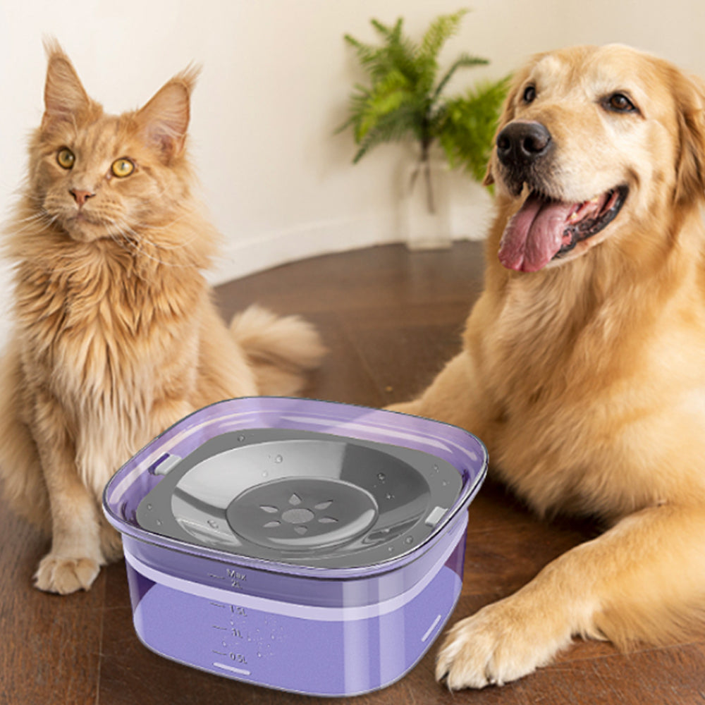 2L Pet Dog Cat Water Bowl No Spill Water Feeder Purple