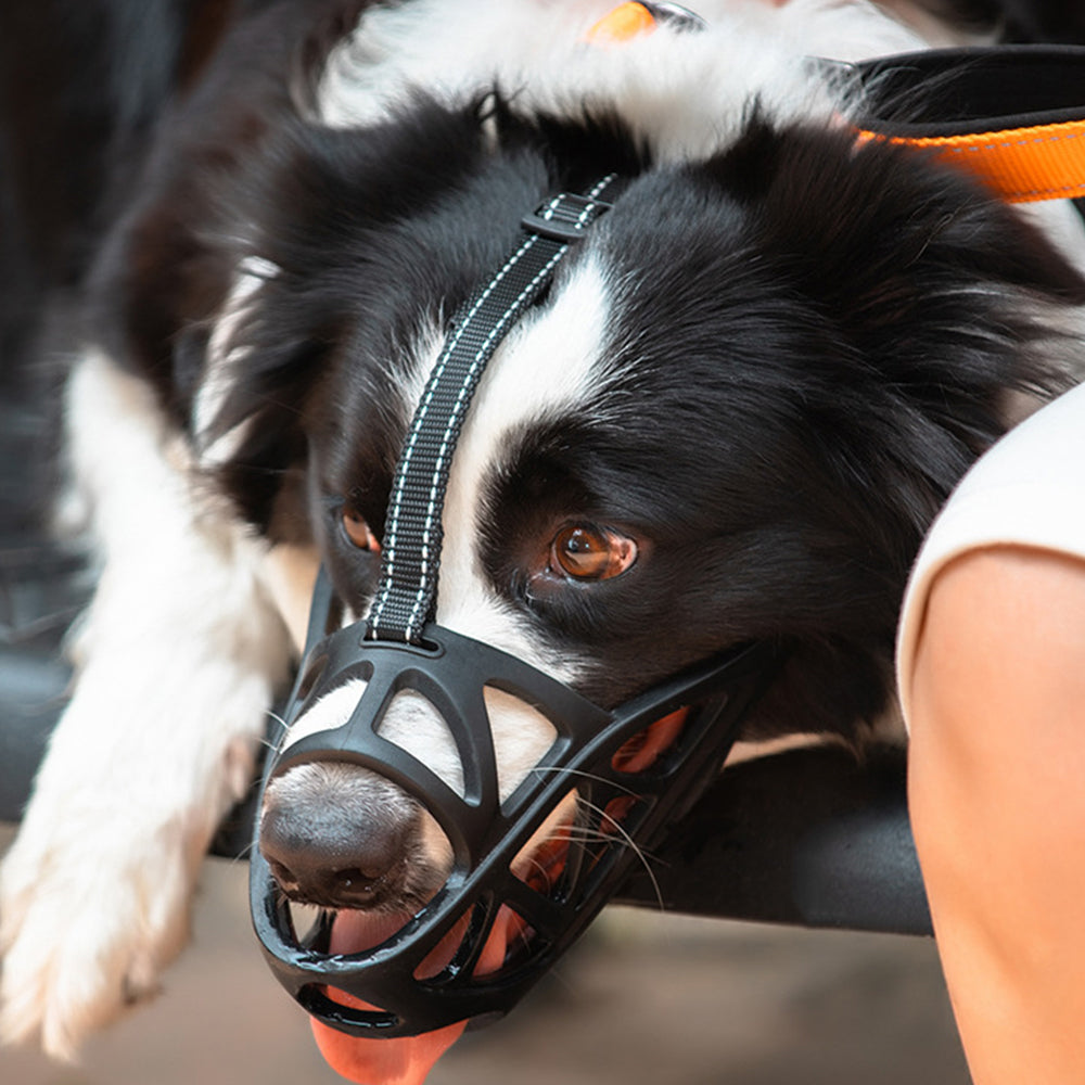 Adjustable Pet Dog Mask Bark Bite Mesh Mouth Muzzle Anti Stop Chewing M
