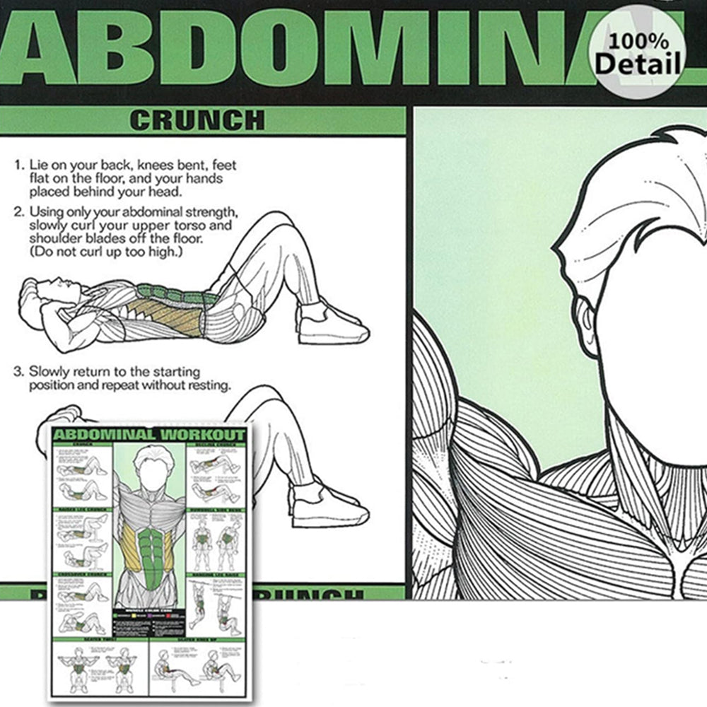 Gym Workout Poster Fitness Abdominal Muscle Chart Exercise Poster