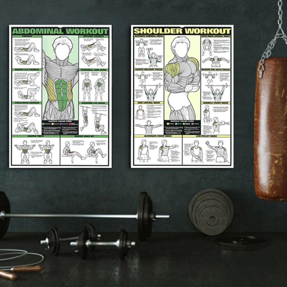 Gym Workout Poster Fitness Abdominal Muscle Chart Exercise Poster