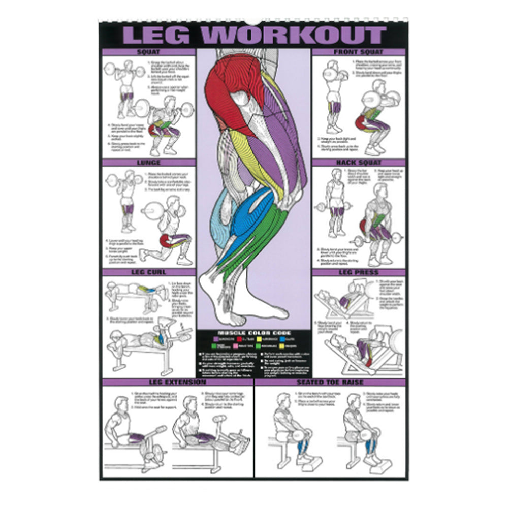 Gym Workout Poster Fitness Leg Muscle Chart Exercise Poster