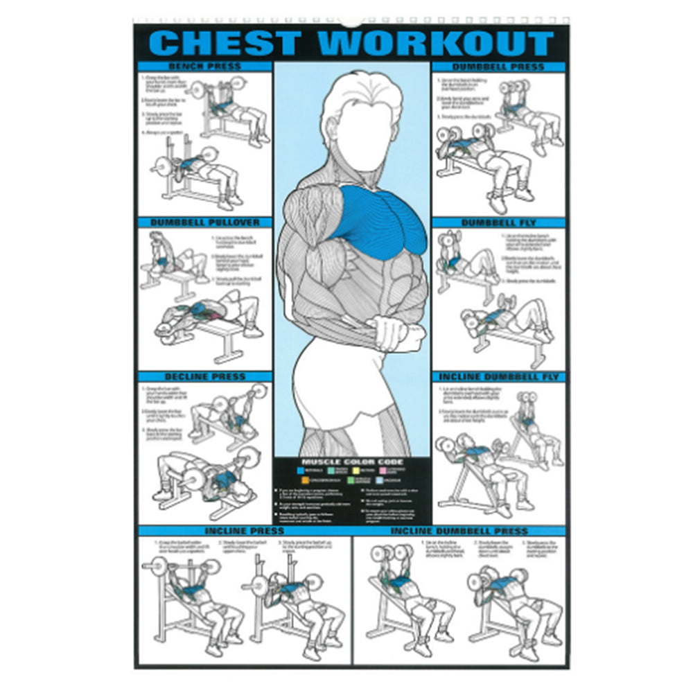 Gym Workout Poster Fitness Chest Muscle Chart Exercise Poster