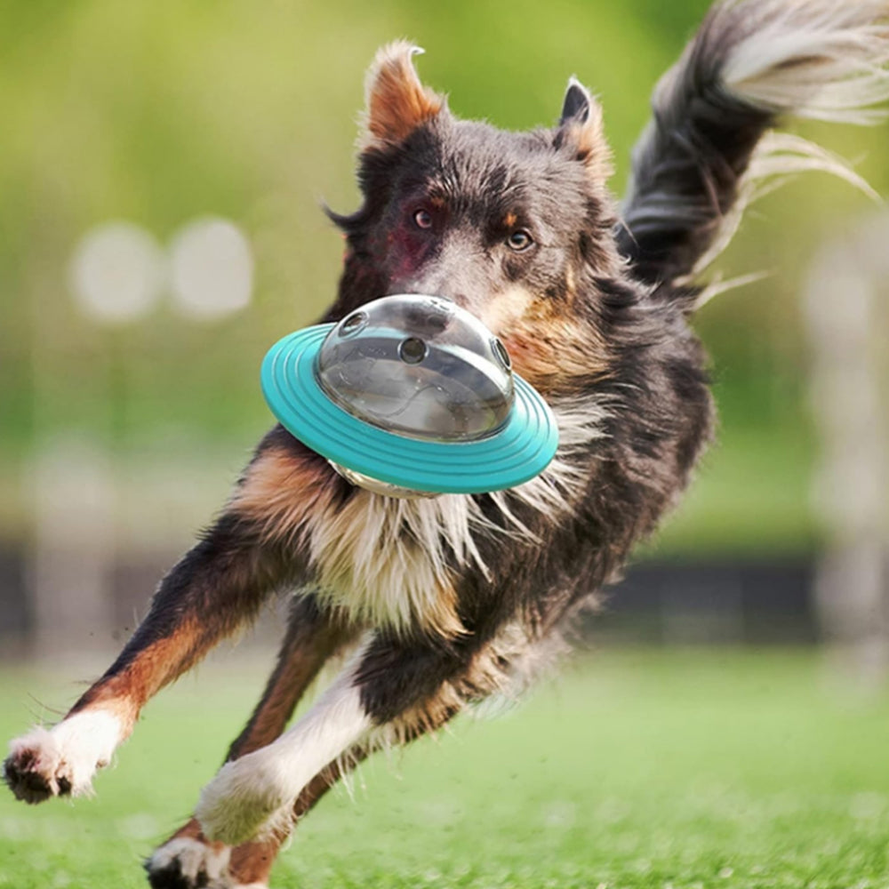 Pet Dog Cat Tumbler Treat Ball Feeder Food Dispenser Interactive Toy Cyan