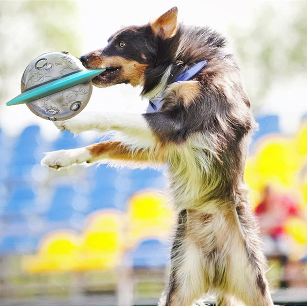 Pet Dog Cat Tumbler Treat Ball Feeder Food Dispenser Interactive Toy Cyan