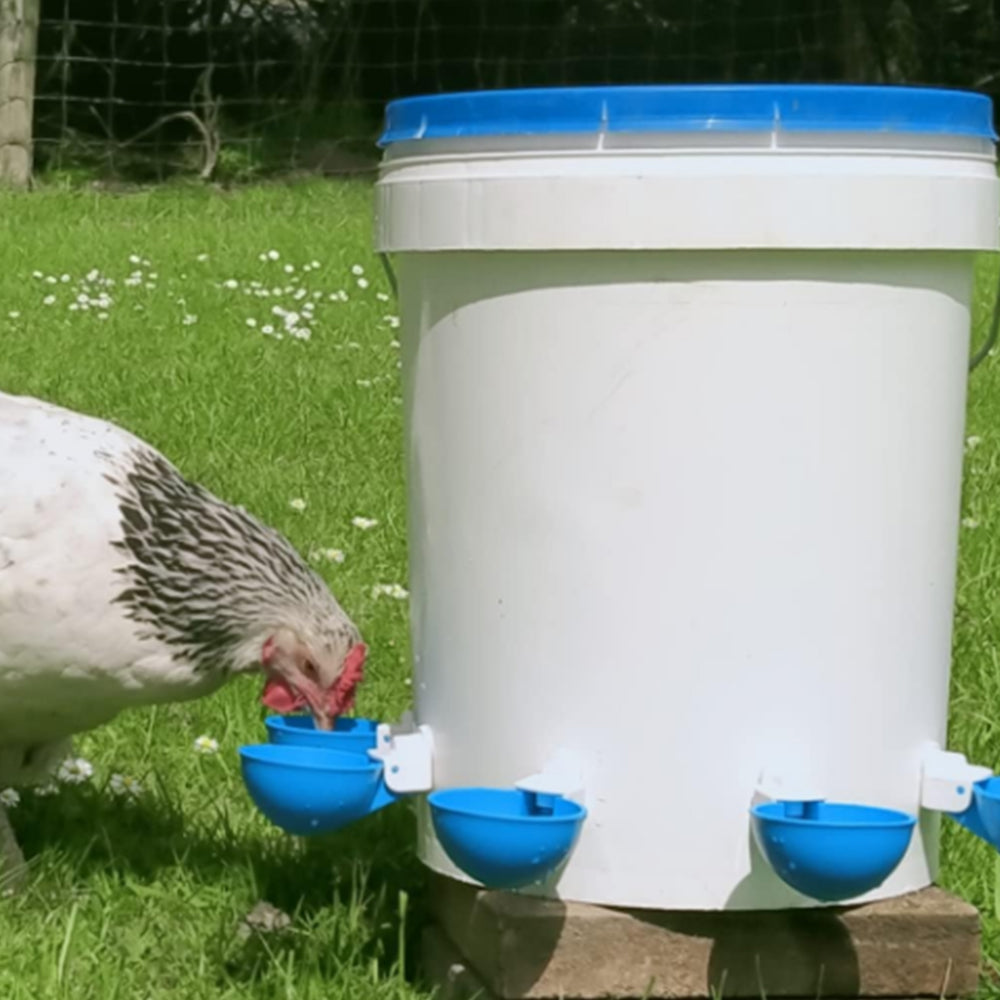 10Pcs Chicken Water Feeder Drinker Automatic Waterer Poultry Drinking Bowl Blue