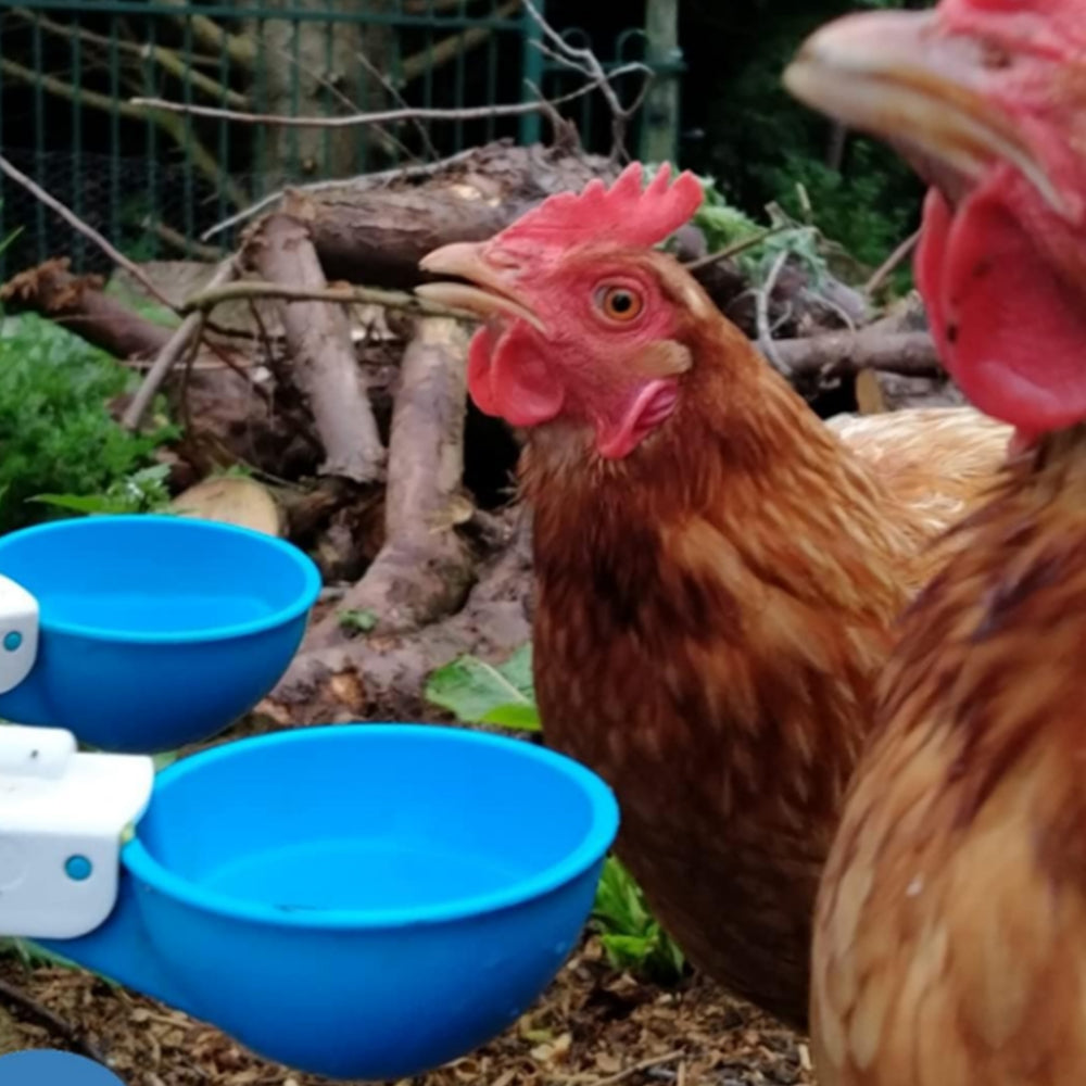 10Pcs Chicken Water Feeder Drinker Automatic Waterer Poultry Drinking Bowl Blue
