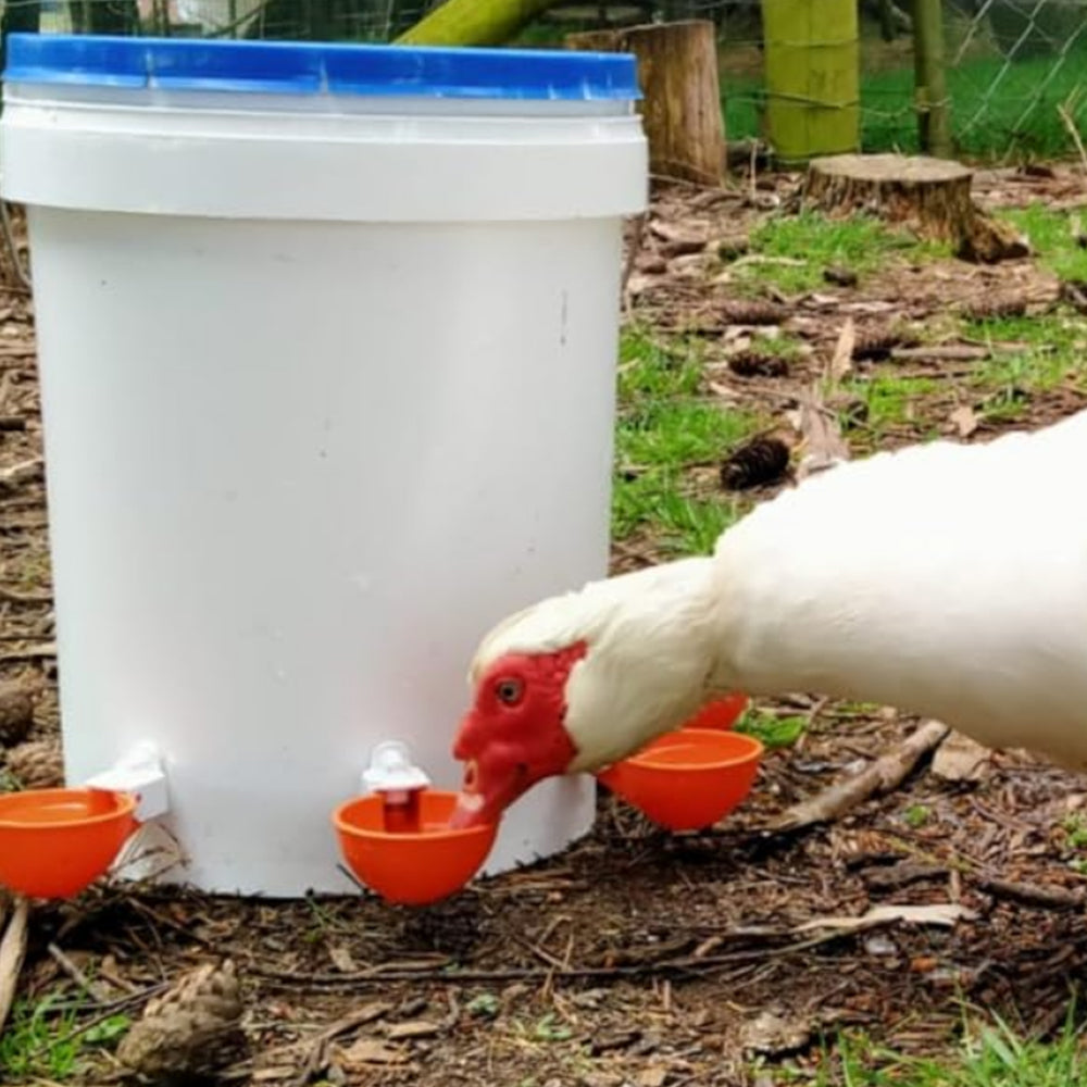 10Pcs Chicken Water Cup Feeder Drinker Automatic Waterer Poultry Bowl Orange