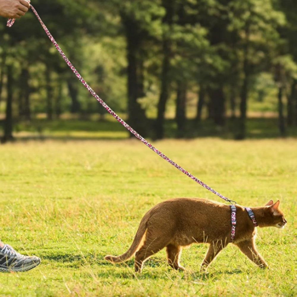 Cat Harness and Leash Set Escape Proof Adjustable Strap H-Shaped Harness Pink
