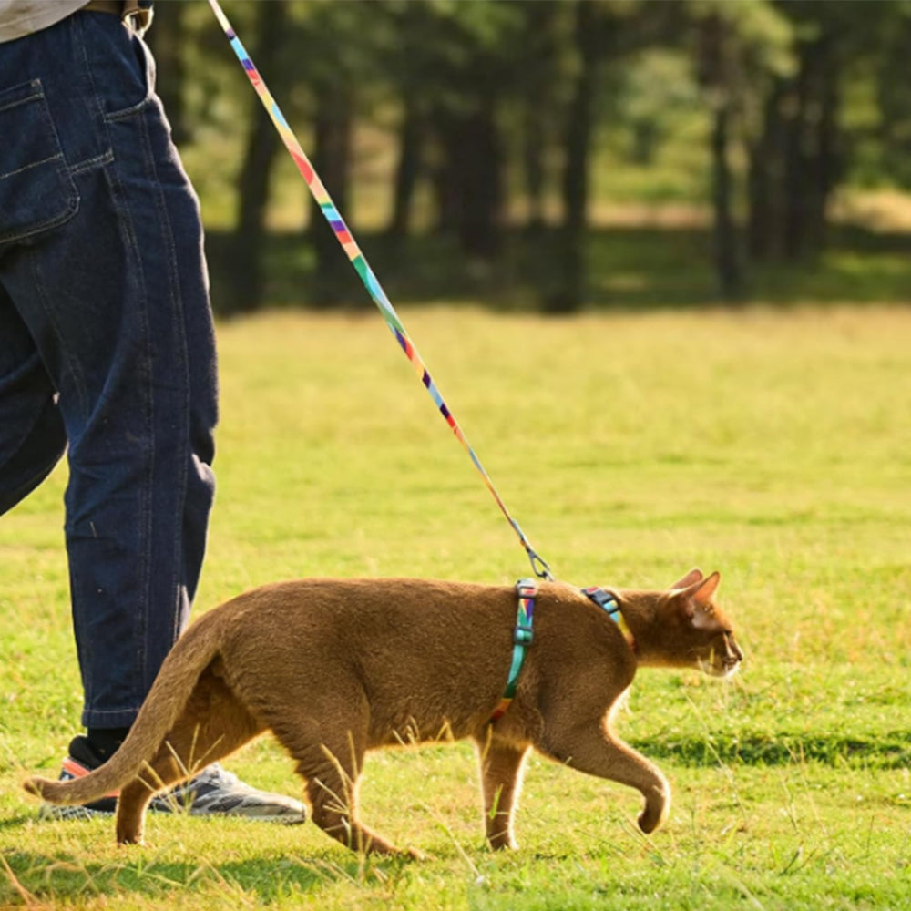 Cat Harness and Leash Set Escape Proof Adjustable Strap H-Shaped Harness Rainbow