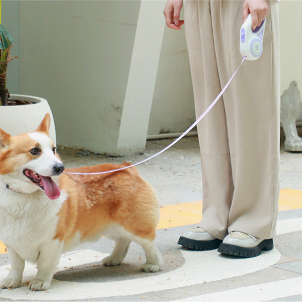 RGB 5M Extendable Retractable Dog Leash LED Lockable Training Lead Rope Purple