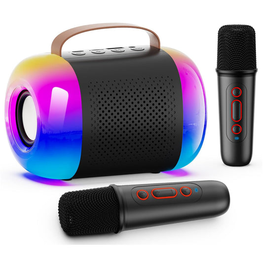 Mini Karaoke Machine Portable Bluetooth Speaker with 2 Wireless Microphone Black