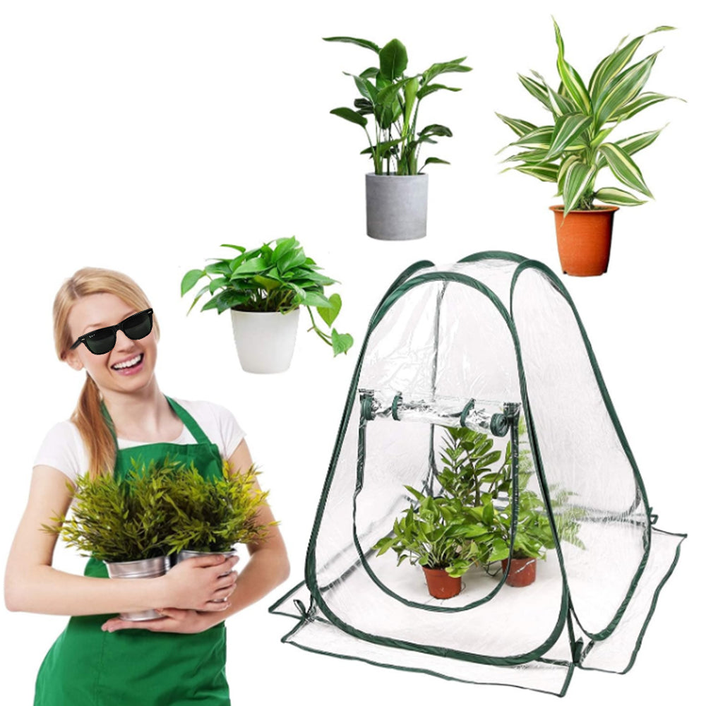 2Pcs 70x70x80cm Pop-up Greenhouse Cover Transparent Small Grow Plant House Tent