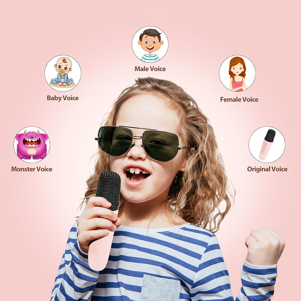 Portable Bluetooth Karaoke Machine with 2 Microphones