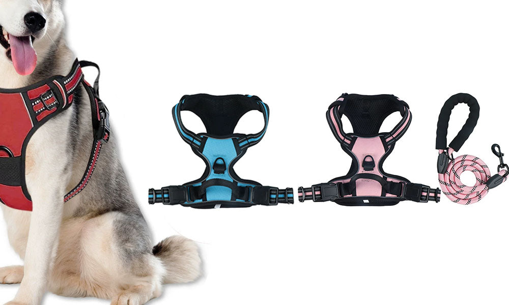 Adjustable Reflective Dog Harness and Leash Set Oxford Cloth Pet Chest Walking Set