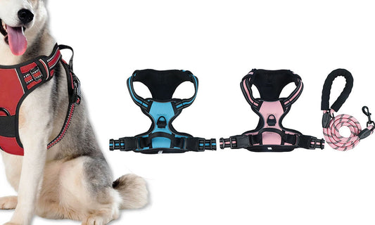 Adjustable Reflective Dog Harness and Leash Set Oxford Cloth Pet Chest Walking Set