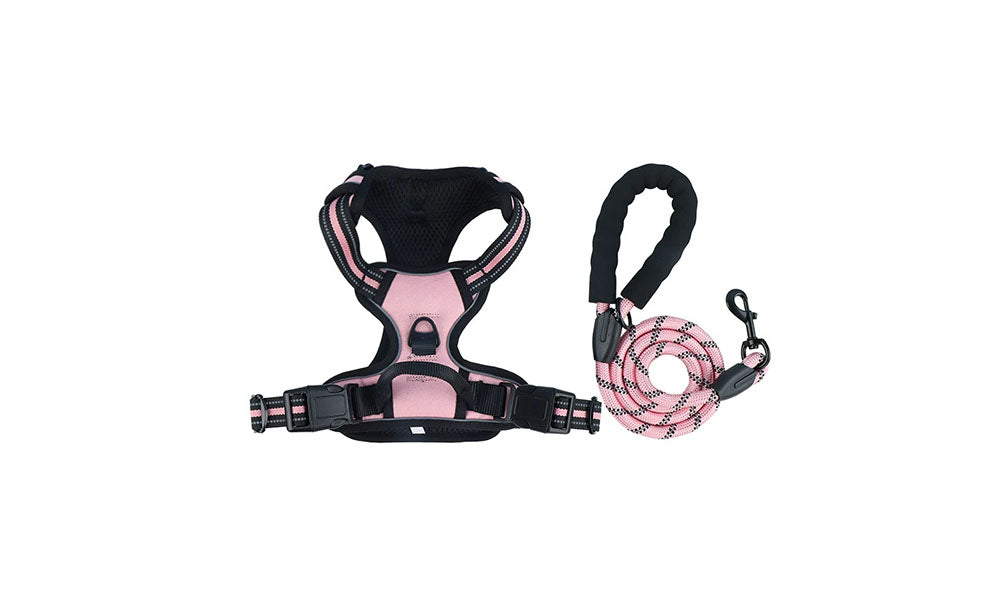 Adjustable Reflective Dog Harness and Leash Set Oxford Cloth Pet Chest Walking Set