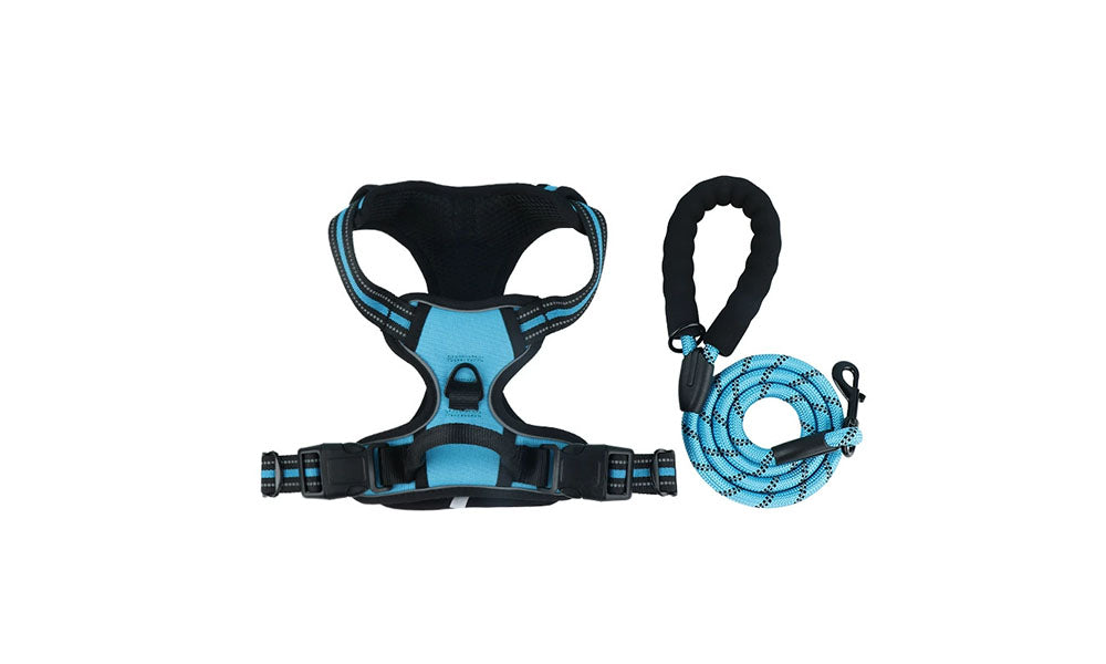 Adjustable Reflective Dog Harness and Leash Set Oxford Cloth Pet Chest Walking Set