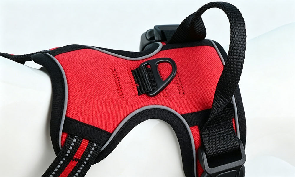 Adjustable Reflective Dog Harness and Leash Set Oxford Cloth Pet Chest Walking Set