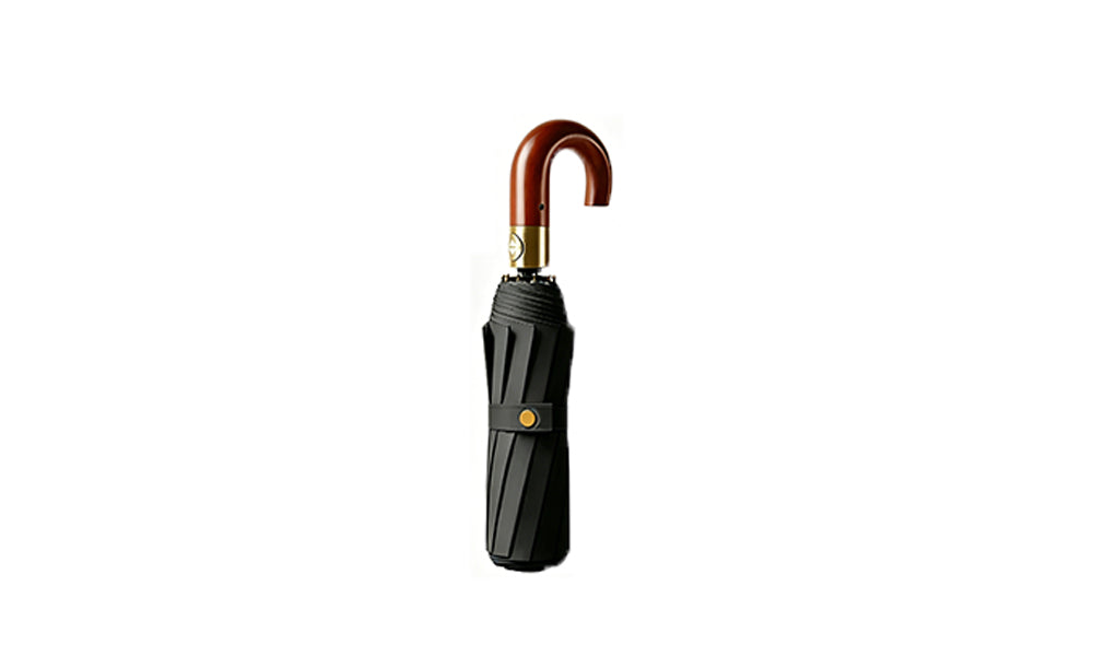10 Rib Automatic Folding Umbrella Large Canopy Wind Resistant Travel Umbrella Compact Portable Rain Umbrella