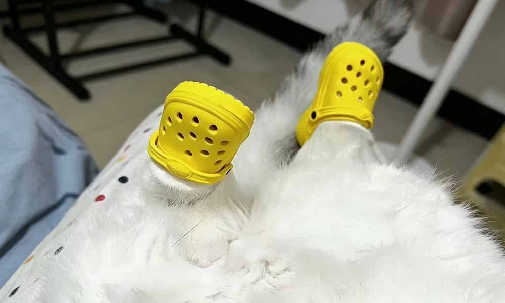 2 Pairs Dog Hole Shoe Comfortable Dog Cat Rain Boots Pet Sandals Running