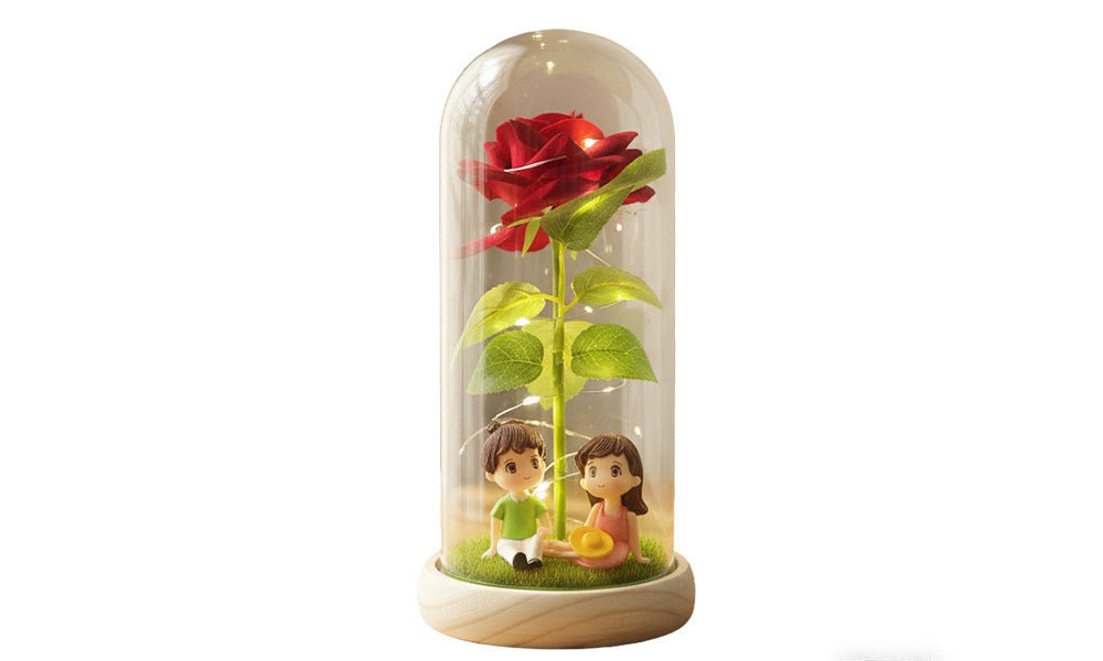 Preserved Rose Bouquet with Acrylic Dome and LED Lights Valentines Day Gift