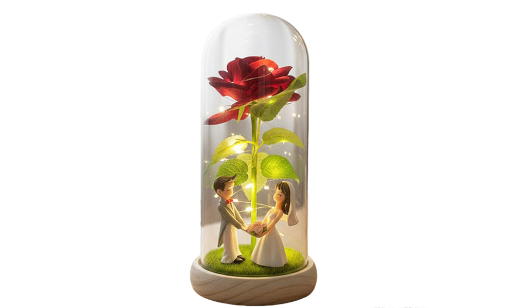 Preserved Rose Bouquet with Acrylic Dome and LED Lights Valentines Day Gift