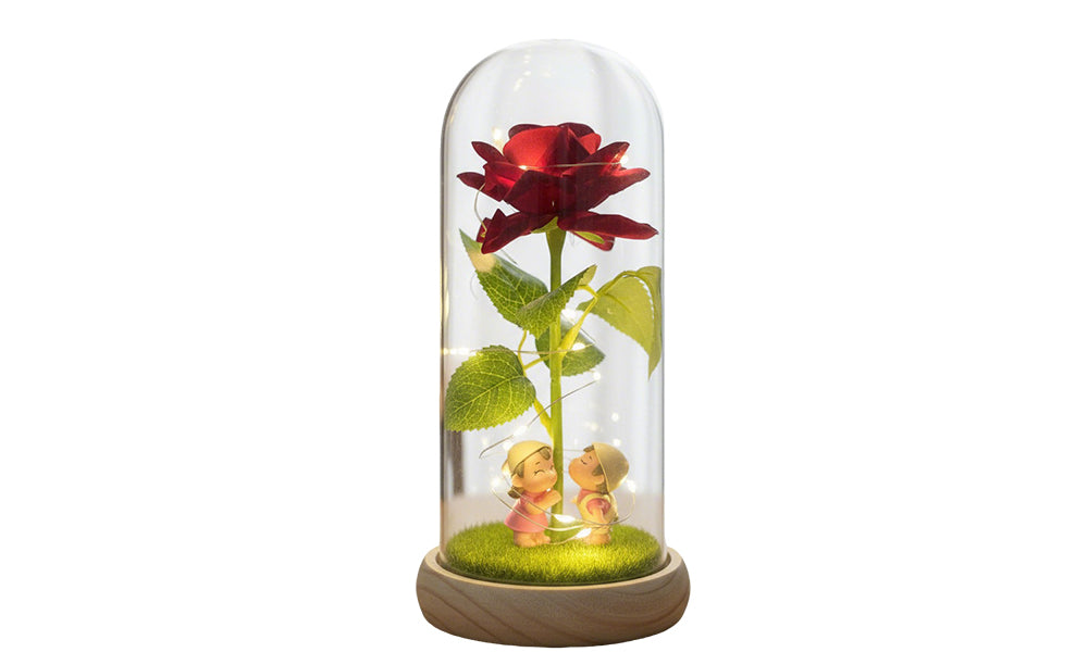 Preserved Rose Bouquet with Acrylic Dome and LED Lights Valentines Day Gift