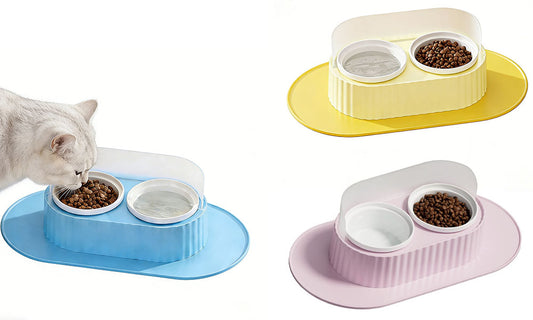 Ceramic Double Bowl Pet Feeding Set with Elevated Stand and Non-Slip Mat