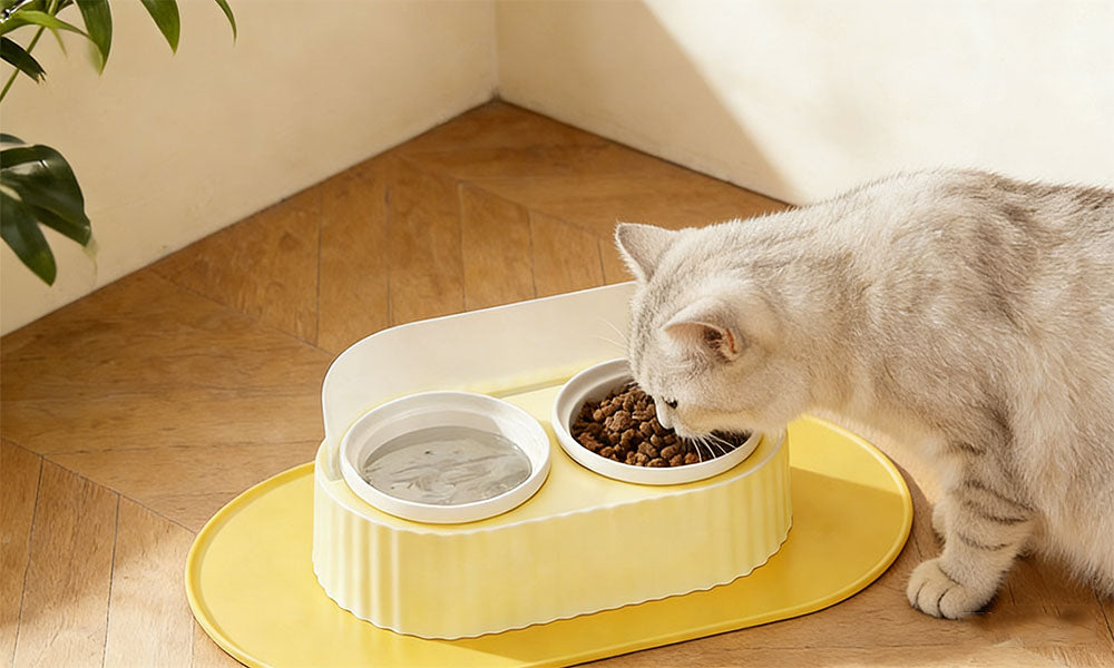 Ceramic Double Bowl Pet Feeding Set with Elevated Stand and Non-Slip Mat